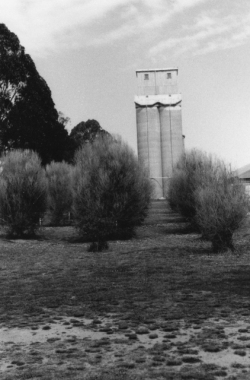 BOOROWA-CENTRAL-(neg8)