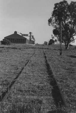 BOOROWA-(neg14)