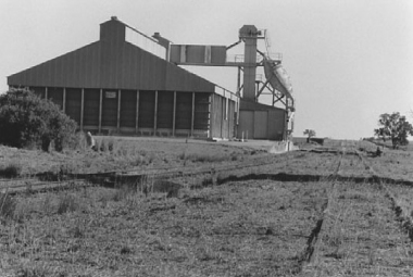 BOOROWA-(neg18)