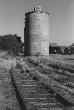 BURRUMBUTTOCK-(neg10)