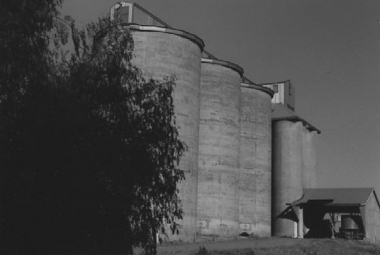 BURRUMBUTTOCK-(neg7)