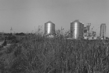 COWRA-(neg11)