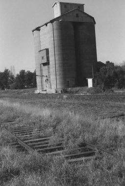 DUNEDOO-(neg4)