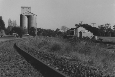 DUNEDOO-(neg5)