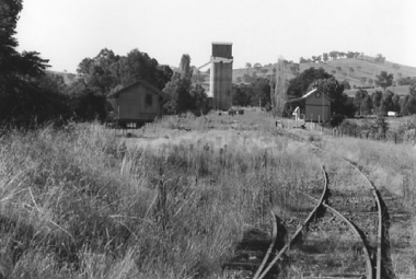 LADYSMITH-(neg13)