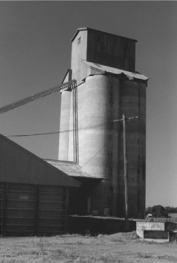 LADYSMITH-(neg5)