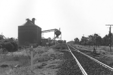 NYNGAN-(neg12)