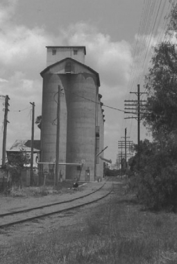 PARKES-(neg13)