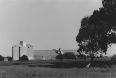 TOMINGLEY_WEST-(neg1)